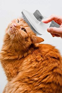 Tüy Toplayıcı Kedi Köpek Tüyü Toplama Temizleme Kedi Fırça Ve Tarağı ürün fotoğrafı