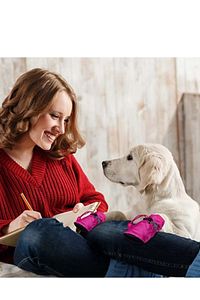 Köpek Ayakkabı Yumuşak Kapalı ve Açık Yürüyüş Koşu Eğitim Için 4 Adet ürün fotoğrafı