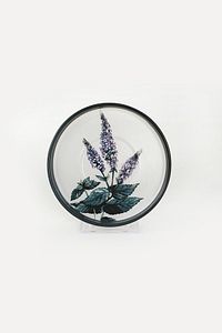 Çiçek Bahçesi Stackable Çay Takımı 12 Parça 6 Kişilik-18938-39-40-41-42-43 ürün fotoğrafı