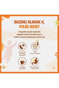 Probiyotikli Çay Rooibos Vanilya 14lü X2 ürün fotoğrafı