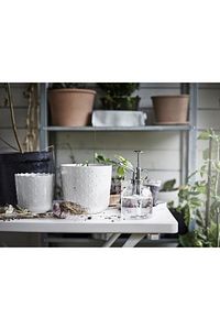 Sesamfrön 25 Cl 16 Cm Sulama Sprey Şişesi Saksı Çiçek Bitki Bahçe Cam Sulama Kabı Şişesi ürün fotoğrafı