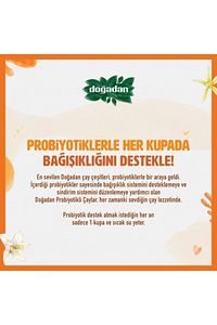 Probiyotikli Çay Rooibos Vanilya 14lü X2 ürün fotoğrafı