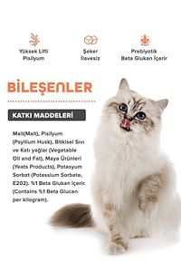 Premium Malt Paste 100.gr Kedi Tüy Yumağı Ve Kusma Önlemeyi Destekleyen Malt Macun ürün fotoğrafı