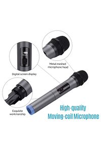 Profesyonel Kablosuz Mikrofon 6.35mm Fiş Dinamik Taşınabilir Konuşma Toplantı Sahne Performansı Wn01 ürün fotoğrafı