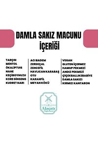 Damla Sakızlı 240 gr Macun ürün fotoğrafı