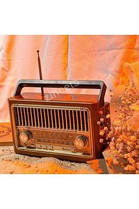 Nostaljik Radyo Fm Ahşap Görünümlü Bluetooth Hoparlör Ahşap Renk Vintage Işıklı Usb Sd ürün fotoğrafı