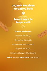 Organik Ballı Kinoalı Kurabiye 55g X 6 Adet ürün fotoğrafı