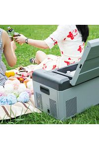 Pg21 12/24volt 21 Litre Kompresörlü Oto Buzdolabı ürün fotoğrafı