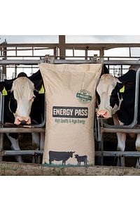 Bypass Yağ Energy Pass 7058 Kcal 25 Kg ürün fotoğrafı