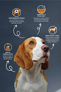 Kuzu Etli Köpek Maması 15 Kg ürün fotoğrafı