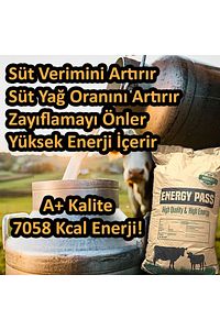 Bypass Yağ Energy Pass 7058 Kcal 25 Kg ürün fotoğrafı