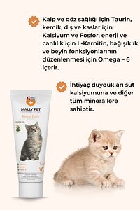 Yavru Ve Anne Kediler Için Bağışıklık Sistemi Destekleyici Kitten Paste 100g ürün fotoğrafı