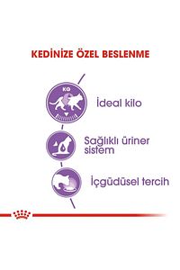 ® Sterilised Gravy Kısırlaştırılmış Yetişkin Kedi Yaş Maması 85 Gr*12 ürün fotoğrafı