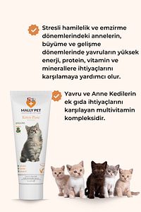 Yavru Ve Anne Kediler Için Bağışıklık Sistemi Destekleyici Kitten Paste 100g ürün fotoğrafı