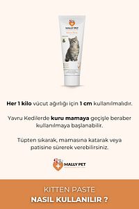 Yavru Ve Anne Kediler Için Bağışıklık Sistemi Destekleyici Kitten Paste 100g ürün fotoğrafı