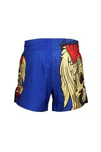 Dijital Baskılı Strong Kick Boks Fitness Boks Muay Thai Antrenman Şortu Spor Şort Mts212 ürün fotoğrafı