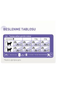 Sterilised37 Kısırlaştırılmış Kediler Için Kuru Kedi Maması 4kg ürün fotoğrafı