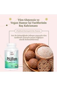 Psyllium Karnıyarık Otu Tozu 250 Gr ürün fotoğrafı