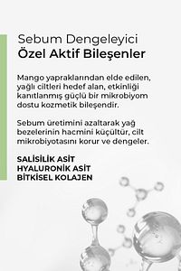 Siyah Nokta Akne Karşıtı Sebum Dengeleyici Set ürün fotoğrafı