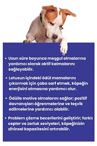 Lotus Interaktif Köpek Oyun Topu, Mama Saklamalı Köpek Oyuncağı Ara Bul Kokla Bul Köpek Oyun Topu ürün fotoğrafı