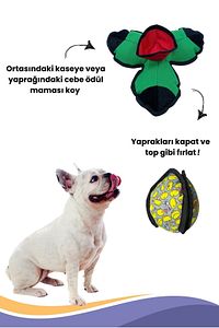 Lotus Interaktif Köpek Oyun Topu, Mama Saklamalı Köpek Oyuncağı Ara Bul Kokla Bul Köpek Oyun Topu ürün fotoğrafı