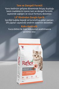 Kitten Tavuklu Ve Pirinçli Yavru Kedi Maması 2 Kg ürün fotoğrafı