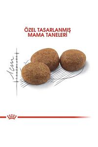 Sterilised Kısırlaştırılmış Kedi Maması 10 Kg ürün fotoğrafı