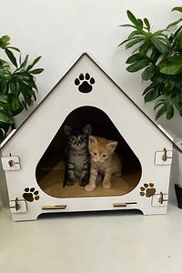 Ahşap Demonte Kedi Evi Evcil Hayvan Yuvası ürün fotoğrafı