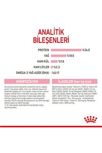 Yavru Kediler Için Kuru Kedi Maması 4kg ürün fotoğrafı