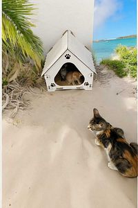 Ahşap Demonte Kedi Evi Evcil Hayvan Yuvası ürün fotoğrafı