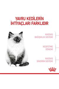 Kitten Yavru Kuru Kedi Maması 2 Kg ürün fotoğrafı