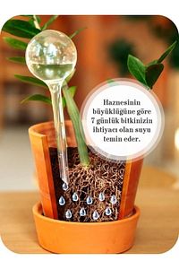 4 Adet Çiçek Bitki Sulama Saksı Suluğu Aparatı Otomatik Ve Kontrollü Sulama ürün fotoğrafı
