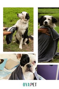 Microlux® Köpek Havlusu 60x90 Cm Kurulama Için Mikrofiber Küçük Ve Orta Irk Süper Su Emici Havlu ürün fotoğrafı