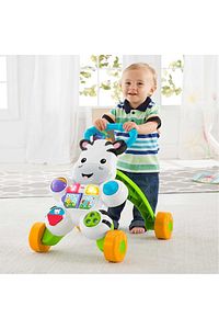 Melodili Zebra Yürüteç Dld80 ürün fotoğrafı