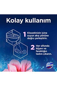 Tuvalet Bloğu 100 G Çam Ormanı 100 X1 Manolya Buketi 100 G X1 Okyanus Esintisi 100 G X1 ürün fotoğrafı