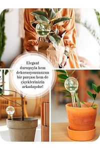 4 Adet Çiçek Bitki Sulama Saksı Suluğu Aparatı Otomatik Ve Kontrollü Sulama ürün fotoğrafı