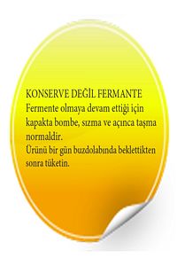 Kimchi Kore Turşusu 580cc ürün fotoğrafı
