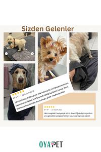 Microlux® Köpek Havlusu 60x90 Cm Kurulama Için Mikrofiber Küçük Ve Orta Irk Süper Su Emici Havlu ürün fotoğrafı