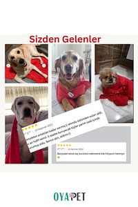 Microlux® Köpek Havlusu 60x90 Cm Kurulama Için Mikrofiber Küçük Ve Orta Irk Süper Su Emici Havlu ürün fotoğrafı