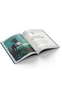 Harry Potter Film Dehlizi 1: Orman, Göl Ve Gök Yaratıkları / Kolektif / / 9786057358905 ürün fotoğrafı