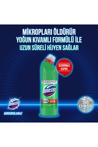 Çamaşır Suyu Dağ Esintisi 750 ml X 6 Sünger 1 Adet ürün fotoğrafı
