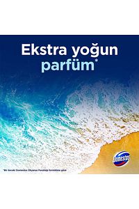 Tuvalet Bloğu 100 G Çam Ormanı 100 X1 Manolya Buketi 100 G X1 Okyanus Esintisi 100 G X1 ürün fotoğrafı