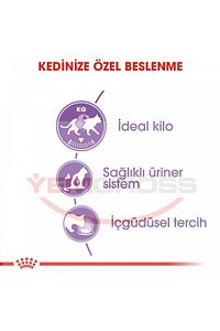 Sterilised Jelly Kısır Kedi Pouch Yaş Mama 85 gr X 12 Adet ürün fotoğrafı