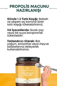 Propolis Macunu Arı Sütü Bal Ve Polenli Propolis 240 gr ürün fotoğrafı