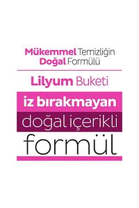 Easy Clean Lilyum Orkide Kiraz Çiçeği Yüzey Temizlik Havlusu&mendili 3x100 (300 YAPRAK) ürün fotoğrafı
