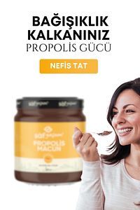Propolis Macunu Arı Sütü Bal Ve Polenli Propolis 240 gr ürün fotoğrafı