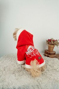 Yılbaşı Kıyafeti Elbisesi kıyafetleri - Kedi Ve Köpekler İçin Mutlu Noeller (NOEL) ürün fotoğrafı