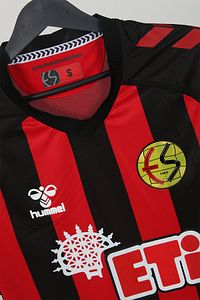 Eskişehirspor Efsane Çubuklu Yetişkin Forma ürün fotoğrafı