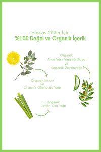 %100 Doğal Organik Roll On Alüminyum Tuzları Içermez Ter Kokusu Önleyici Fresh 50 ml Vegan ürün fotoğrafı
