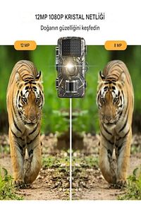 TR Foto Kapan Takip Kamerası İzcilik Avcılık Kamerası Yaban Hayatı İzleme 1080P IP66 için 38 LED'li ürün fotoğrafı
